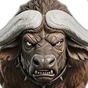 Bison